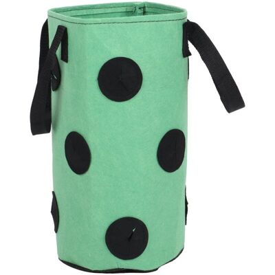 OEM Sac De Culture De Fraises Suspendu 12 Poches Jardinage Vert 3 Gallons 20x35cm-crezuo - Publicité OEM Sac De Culture De Fraises Suspendu 12 Poches Jardinage Vert 3 Gallons 20x35cm-crezuo - Publicité