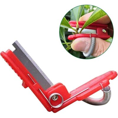 MOXIE 5 Pièces Outil De Cueillette De Plantes, Séparateur De Pouce De Jardin Outil De Cueillette De Récolte De Thé De Légumes Pour Fruits - Publicité MOXIE 5 Pièces Outil De Cueillette De Plantes, Séparateur De Pouce De Jardin Outil De Cueillette De Récolte De Thé De Légumes Pour Fruits - Publicité