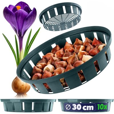 GRASSLIN Lot De 10 - Panier À Bulbes - Pot De Culture - Protection Contre Rongeurs Et Humidité - Pour Jardin Et Légumes - Vert - 30 Cm - Publicité GRASSLIN Lot De 10 - Panier À Bulbes - Pot De Culture - Protection Contre Rongeurs Et Humidité - Pour Jardin Et Légumes - Vert - 30 Cm - Publicité