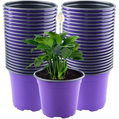 SANS MARQUE 50 Pièces 15cm Pots De Fleurs En Plastique, Mauve Poids Léger Pots De Départ De Graines Pots De Semis De Pépinière Récipient Pour Plantes À Fleurs (15 X 13cm) - Publicité SANS MARQUE 50 Pièces 15cm Pots De Fleurs En Plastique, Mauve Poids Léger Pots De Départ De Graines Pots De Semis De Pépinière Récipient Pour Plantes À Fleurs (15 X 13cm) - Publicité