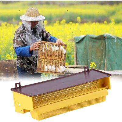 PELTOR Piège À Pollen Amovible En Plastique Jaune Avec Plateau À Pollen Ventilé Outil D'Apiculture - Publicité PELTOR Piège À Pollen Amovible En Plastique Jaune Avec Plateau À Pollen Ventilé Outil D'Apiculture - Publicité