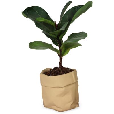 BRINSEA Pot En Céramique Monobloc – Avec Trous De Drainage, Convient Aux Cactus Et Aux Plantes Succulentes Pot De Fleurs D'Extérieur En Céramique Aménagement Paysager Minimaliste Texture Papier Kraft. Publicité BRINSEA Pot En Céramique Monobloc – Avec Trous De Drainage, Convient Aux Cactus Et Aux Plantes Succulentes Pot De Fleurs D'Extérieur En Céramique Aménagement Paysager Minimaliste Texture Papier Kraft. Publicité