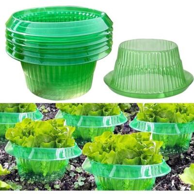 SCORPIO 6 Colliers Anti-limaces Et Escargots – Protection Naturelle Pour Plantes, Sans Produits Chimiques, Idéal Pour Potager Et Jardin (lot De 6) - Publicité SCORPIO 6 Colliers Anti-limaces Et Escargots – Protection Naturelle Pour Plantes, Sans Produits Chimiques, Idéal Pour Potager Et Jardin (lot De 6) - Publicité
