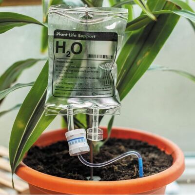 MOXIE Dispositif D'Irrigation Goutte À Goutte Pour Plantes D'Intérieur Système D'Arrosage Automatique - Publicité MOXIE Dispositif D'Irrigation Goutte À Goutte Pour Plantes D'Intérieur Système D'Arrosage Automatique - Publicité