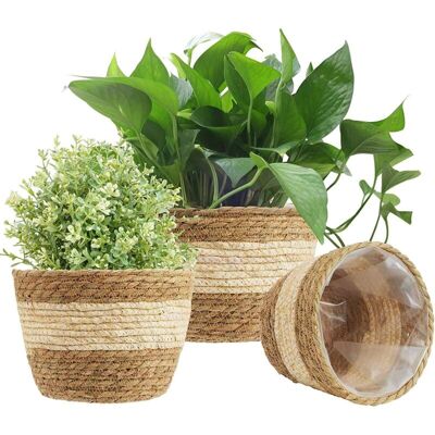 Melissa 3pcs Panier De Jardinière En Jonc De Mer, 3 Taille Pot De Plante Tissé Couverture De Pots De Fleurs Panier De Rangement Conteneurs De Plantes Pour La Décoration Intérieure (beige) - Publicité Melissa 3pcs Panier De Jardinière En Jonc De Mer, 3 Taille Pot De Plante Tissé Couverture De Pots De Fleurs Panier De Rangement Conteneurs De Plantes Pour La Décoration Intérieure (beige) - Publicité
