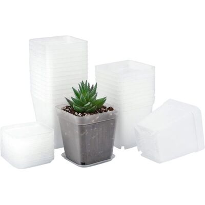 Melissa 24 Pièces 7cm Petit Pot De Fleurs Semis, Godet Semis Plastique, Pot De Repiquage, Adapté Aux Semis,succulentes,petit Plantes-couleur Transparente - Publicité Melissa 24 Pièces 7cm Petit Pot De Fleurs Semis, Godet Semis Plastique, Pot De Repiquage, Adapté Aux Semis,succulentes,petit Plantes-couleur Transparente - Publicité
