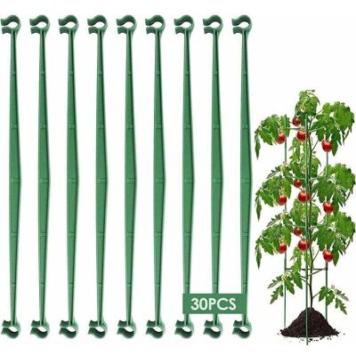 PELTOR (vert) Lot De 30 Bras De Tuteurage Pour Cage À Tomates Supports De Plantes Tuteurs De Jardin Treillis À Légumes Tiges De Connexion Supports De Cages De Jardin Treillis À Concombres Pour Plantes Grimpa - Publicité PELTOR (vert) Lot De 30 Bras De Tuteurage Pour Cage À Tomates Supports De Plantes Tuteurs De Jardin Treillis À Légumes Tiges De Connexion Supports De Cages De Jardin Treillis À Concombres Pour Plantes Grimpa - Publicité