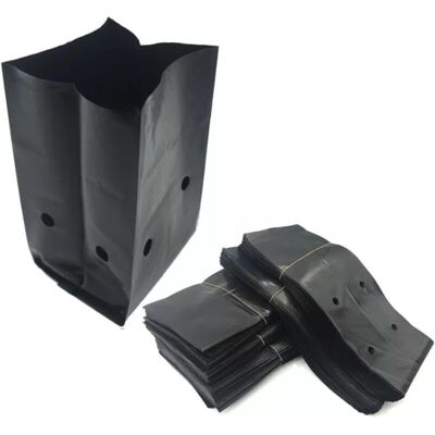 PELTOR Lot De 2 Sacs De Pépinière En Plastique Pe Noir, Sacs De Culture Pour Plantes, Pots Pour Semis, Sacs De Culture Pour Arbres Avec Trous Pour Fournitures De Jardin (couleur : Noir, Taille : 8x12cm) - Publicité PELTOR Lot De 2 Sacs De Pépinière En Plastique Pe Noir, Sacs De Culture Pour Plantes, Pots Pour Semis, Sacs De Culture Pour Arbres Avec Trous Pour Fournitures De Jardin (couleur : Noir, Taille : 8x12cm) - Publicité