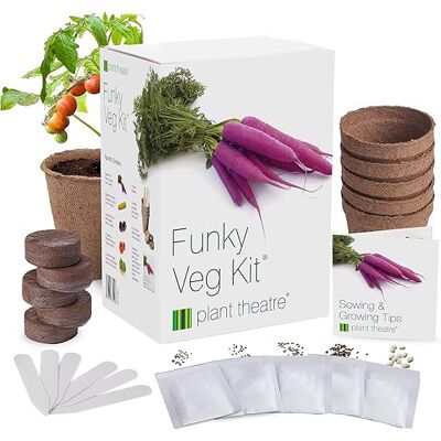 OEM Kit De Culture De Graines De Légumes Colorées - Publicité OEM Kit De Culture De Graines De Légumes Colorées - Publicité