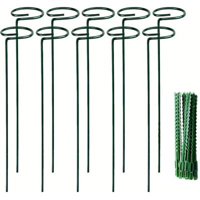 Vision Lot De 10 Tuteurs Pour Plantes, 40 Cm, Avec 20 Attaches Torsadées, Pour Pivoines, Amaryllis, Soucis, Coréopsis, Plants De Tomates, Jeunes Arbres, Etc. Publicité Vision Lot De 10 Tuteurs Pour Plantes, 40 Cm, Avec 20 Attaches Torsadées, Pour Pivoines, Amaryllis, Soucis, Coréopsis, Plants De Tomates, Jeunes Arbres, Etc. Publicité