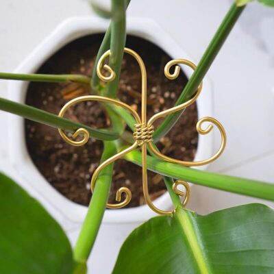 Vision Lot De 5 Supports Pour Plantes Monstera 4,1 Pouces – Supports De Tige À Crochet Durables Pour Une Croissance Saine, Stabilisateur Pour Feuilles Et Carapaces De Tortue, Entretien Facile Des Plantes D'I - Publicité Vision Lot De 5 Supports Pour Plantes Monstera 4,1 Pouces – Supports De Tige À Crochet Durables Pour Une Croissance Saine, Stabilisateur Pour Feuilles Et Carapaces De Tortue, Entretien Facile Des Plantes D'I - Publicité