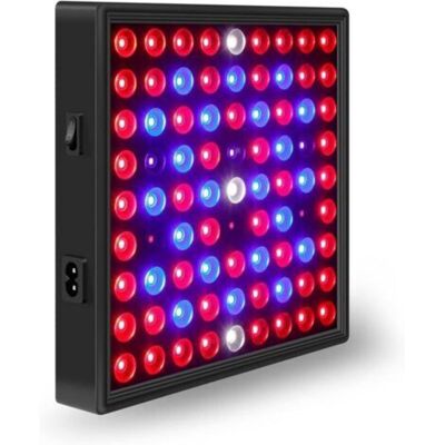 Vision Lampe Horticole Led Croissance Floraison - Cultivez Des Plantes Saines À L'Intérieur - Panneau Led Horticole - Lampe Uv Plante Interieur Pour Semis - Lampe De Culture Led Grow Light Indoor 30w - Publicité Vision Lampe Horticole Led Croissance Floraison - Cultivez Des Plantes Saines À L'Intérieur - Panneau Led Horticole - Lampe Uv Plante Interieur Pour Semis - Lampe De Culture Led Grow Light Indoor 30w - Publicité
