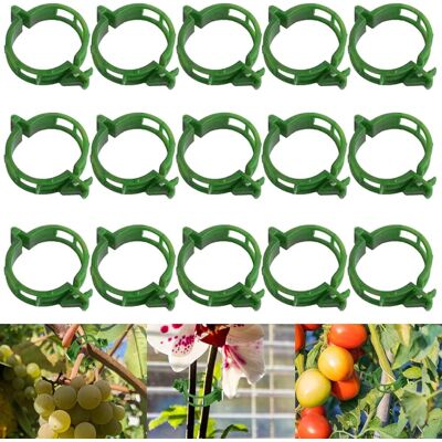 GRASSLIN 50 Clips De Support, Pp Vert, Diamètre 3 Cm, Pour Tomates, Légumes Et Fleurs, Jardinage - Publicité GRASSLIN 50 Clips De Support, Pp Vert, Diamètre 3 Cm, Pour Tomates, Légumes Et Fleurs, Jardinage - Publicité
