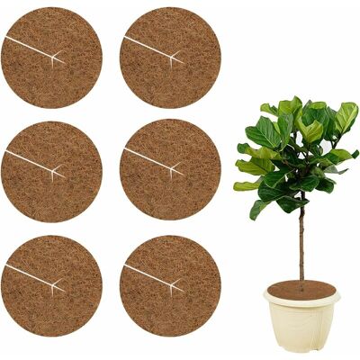 AQUAFORGE Lot De 6 Disques De Paillis De Coco De 20 Cm, Tapis De Coco, Disques De Paillis De Coco Pour La Protection Hivernale Des Plantes En Pot - Publicité AQUAFORGE Lot De 6 Disques De Paillis De Coco De 20 Cm, Tapis De Coco, Disques De Paillis De Coco Pour La Protection Hivernale Des Plantes En Pot - Publicité