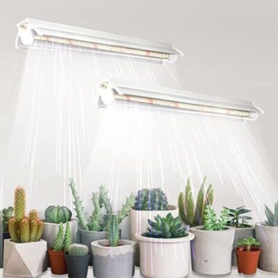 URSUS Lampes De Croissance T5 Pour Plantes D'Intérieur, Lot De 2 (10w X 2), 42cm, Led À Spectre Complet Avec Réflecteurs Pour Semis, Lampes De Croissance Pour Étagères. Publicité URSUS Lampes De Croissance T5 Pour Plantes D'Intérieur, Lot De 2 (10w X 2), 42cm, Led À Spectre Complet Avec Réflecteurs Pour Semis, Lampes De Croissance Pour Étagères. Publicité