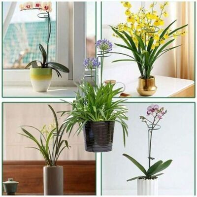 SCORPIO Ensemble De 6 Supports Pour Plantes En Fer, Structure De Jardin Surélevée, Support Pour Plantes Grimpantes En Pot, Outils De Jardinage Essentiels Pour L'Intérieur Et L'Extérieur (25 Cm) - Publicité SCORPIO Ensemble De 6 Supports Pour Plantes En Fer, Structure De Jardin Surélevée, Support Pour Plantes Grimpantes En Pot, Outils De Jardinage Essentiels Pour L'Intérieur Et L'Extérieur (25 Cm) - Publicité