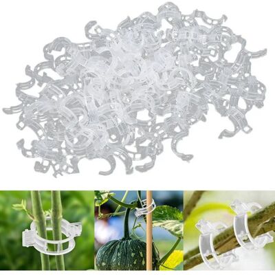 Vision Lot De 100 Clips De Fixation En Plastique Pour Plantes Grimpantes, Pour Treillis De Jardin, Tomates, Vignes, Légumes, Fixation Avec Support Pour Plantes - Publicité Vision Lot De 100 Clips De Fixation En Plastique Pour Plantes Grimpantes, Pour Treillis De Jardin, Tomates, Vignes, Légumes, Fixation Avec Support Pour Plantes - Publicité