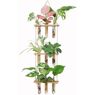 BRINSEA Jardinière Suspendue En Bouteille Écologique, Avec Cadre En Bois, Vase À Trois Niveaux En Forme De Tube À Essai, Pot De Fleurs Suspendu Vintage En Verre, Jardinière Hydroponique - Publicité BRINSEA Jardinière Suspendue En Bouteille Écologique, Avec Cadre En Bois, Vase À Trois Niveaux En Forme De Tube À Essai, Pot De Fleurs Suspendu Vintage En Verre, Jardinière Hydroponique - Publicité