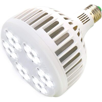 SANS MARQUE Led Ampoule De Plante 150w Blanc Spectre Complet Lampe De Croissance Des Plantes, E27 Élèvent Des Lumières Pour Les Plantes D'Intérieur, Jardin, Aquarium, Légumes, Serre, Culture Hydroponique - Publicité SANS MARQUE Led Ampoule De Plante 150w Blanc Spectre Complet Lampe De Croissance Des Plantes, E27 Élèvent Des Lumières Pour Les Plantes D'Intérieur, Jardin, Aquarium, Légumes, Serre, Culture Hydroponique - Publicité