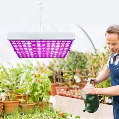 ABYSSE Lampe Led Pour Plantes, Spectre Complet Avec Cordon Réglable, Pour Plantes D'Intérieur, Culture En Boîte, Serre, Culture Hydroponique, Culture De Légumes, Floraison, Semis (45 W) Ouylaf - Publicité ABYSSE Lampe Led Pour Plantes, Spectre Complet Avec Cordon Réglable, Pour Plantes D'Intérieur, Culture En Boîte, Serre, Culture Hydroponique, Culture De Légumes, Floraison, Semis (45 W) Ouylaf - Publicité