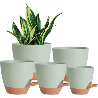 BRINSEA Pots De Fleurs En Plastique Avec Trous De Drainage Pour Plantes D'Intérieur - Publicité BRINSEA Pots De Fleurs En Plastique Avec Trous De Drainage Pour Plantes D'Intérieur - Publicité