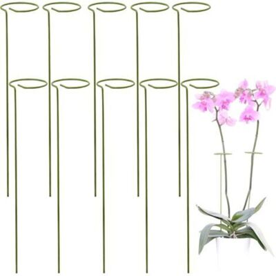 Vision Kit 10 Tuteur Plante, Supports Pour Plantes Grimpantes Et Fleurs, Tuteur Vert, Aidez Vos Fleurs À Pousser, Tuteurs Tomates Jardin , Pieux À Orchidées, Amaryllis, Pivoines, Poivrons Et Plus - Publicité Vision Kit 10 Tuteur Plante, Supports Pour Plantes Grimpantes Et Fleurs, Tuteur Vert, Aidez Vos Fleurs À Pousser, Tuteurs Tomates Jardin , Pieux À Orchidées, Amaryllis, Pivoines, Poivrons Et Plus - Publicité
