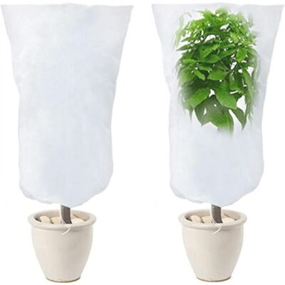 GRASSLIN Lot De 2 - Voile D'Hivernage - Housse Protection Plante - Respirant Anti Gel Vent Neige - Jardin Arbre Fruitier - Blanc - 120x80cm - Publicité GRASSLIN Lot De 2 - Voile D'Hivernage - Housse Protection Plante - Respirant Anti Gel Vent Neige - Jardin Arbre Fruitier - Blanc - 120x80cm - Publicité