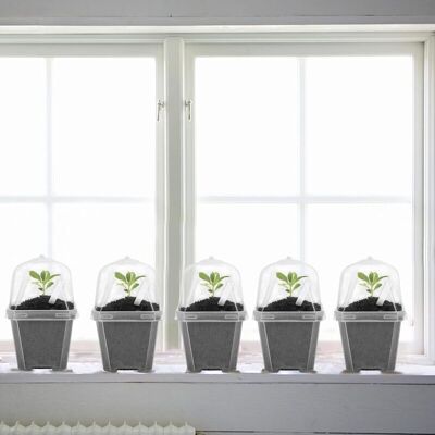 Vision Lot De 10 Pots De Pépinière Transparents Avec Dôme D'Humidité - Pot De Jardinage En Plastique De 7,6 Cm, Contenant En Plastique Durable Pour Semis, Légumes, Plantes Grasses Et Boutures - Publicité Vision Lot De 10 Pots De Pépinière Transparents Avec Dôme D'Humidité - Pot De Jardinage En Plastique De 7,6 Cm, Contenant En Plastique Durable Pour Semis, Légumes, Plantes Grasses Et Boutures - Publicité