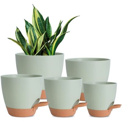 BRINSEA Ensemble De 5 Pots De Jardinage, Pots À Réserve D'Eau De 12,5 Cm, Grande Capacité De Drainage, Adaptés Aux Plantes D'Intérieur Et D'Extérieur. Publicité BRINSEA Ensemble De 5 Pots De Jardinage, Pots À Réserve D'Eau De 12,5 Cm, Grande Capacité De Drainage, Adaptés Aux Plantes D'Intérieur Et D'Extérieur. Publicité
