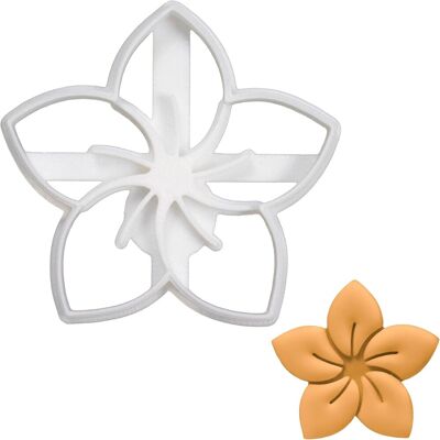 GRASSLIN 1 Pièce - Emporte-pièce - Frangipanier - Pâtisserie Fondant Argile - Décoration Gâteau - Inox - 7,3x7 Cm - Publicité GRASSLIN 1 Pièce - Emporte-pièce - Frangipanier - Pâtisserie Fondant Argile - Décoration Gâteau - Inox - 7,3x7 Cm - Publicité