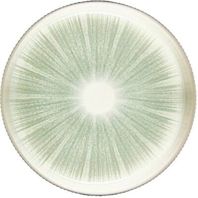 OEM 4 Assiettes Eva Vert, Design Épuré Et Résistant, Vaisselle Intérieure Contemporaine, Usage Quotidien En Salle À Manger - Publicité OEM 4 Assiettes Eva Vert, Design Épuré Et Résistant, Vaisselle Intérieure Contemporaine, Usage Quotidien En Salle À Manger - Publicité