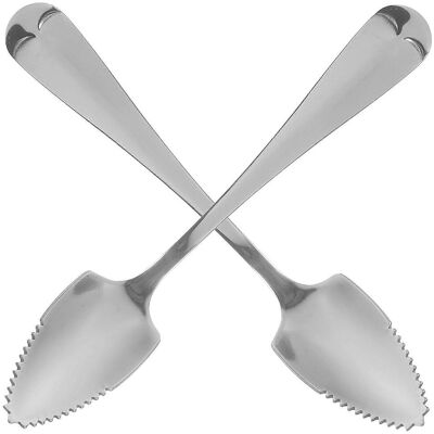 LISATR Lot De 2 Cuillères À Fruits En Acier Inoxydable Avec Long Manche Dentelé, Cuillères À Pamplemousse Et À Dessert, Cuillères À Café-silver - Publicité LISATR Lot De 2 Cuillères À Fruits En Acier Inoxydable Avec Long Manche Dentelé, Cuillères À Pamplemousse Et À Dessert, Cuillères À Café-silver - Publicité