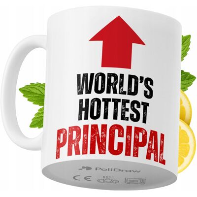 OEM Mug Humoristique Pour Directeur D'École, Avec Un Texte Amusant Et Un Design Graphique Original. Idéal Pour Les Anniversaires, Les Fêtes Et Les Jours Fériés. Mug Premium Pour Les Occasions Spéciales, À - Publicité OEM Mug Humoristique Pour Directeur D'École, Avec Un Texte Amusant Et Un Design Graphique Original. Idéal Pour Les Anniversaires, Les Fêtes Et Les Jours Fériés. Mug Premium Pour Les Occasions Spéciales, À - Publicité