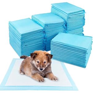 XISRENS 100 Pièces Tapis Absorbant Chien, 33 × 45 Cm Alaise Jetable Alèse Pipi Propreté Educateur Chien Animaux, Aleze Impermeable, Pee Pad Apprentissage La Propreté Anti-fuite Résistante - Publicité XISRENS 100 Pièces Tapis Absorbant Chien, 33 × 45 Cm Alaise Jetable Alèse Pipi Propreté Educateur Chien Animaux, Aleze Impermeable, Pee Pad Apprentissage La Propreté Anti-fuite Résistante - Publicité