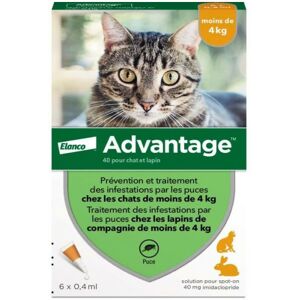 Advantage - Solution Antipuce Chat Lapin 1 A 4kg 6 Pipettes - Publicité Advantage - Solution Antipuce Chat Lapin 1 A 4kg 6 Pipettes - Publicité