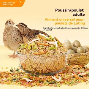 OEM Aliment Pour Perdrix De Bambou - Formule Adaptée À Chaque Stade De Développement - Convient Aux Poussins Et Aux Poules Pondeuses - Publicité OEM Aliment Pour Perdrix De Bambou - Formule Adaptée À Chaque Stade De Développement - Convient Aux Poussins Et Aux Poules Pondeuses - Publicité