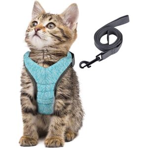 OEM Harnais Chat Harnais Petit Chien Et Chiot, Laisse Harnais Chaton Réglable, Gilet Respirant Sécurité Balade Amorti Et Anti-évasion, Pour Chats, Chiots Et Lapins (vert-m) - Publicité OEM Harnais Chat Harnais Petit Chien Et Chiot, Laisse Harnais Chaton Réglable, Gilet Respirant Sécurité Balade Amorti Et Anti-évasion, Pour Chats, Chiots Et Lapins (vert-m) - Publicité