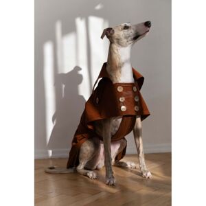 OEM Manteau Imperméable Pour Chien - Marron Chocolat 10 - Publicité OEM Manteau Imperméable Pour Chien - Marron Chocolat 10 - Publicité