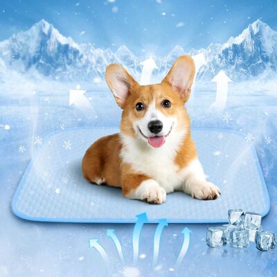 Vision Tapis Rafraîchissant Pour Animaux De Compagnie, Lit Rafraîchissant Durable Et Anti-fuite, Résistant Aux Rayures, Pour Chiens De Taille Moyenne, Chats Et Chiots En Été, Bleu - Publicité Vision Tapis Rafraîchissant Pour Animaux De Compagnie, Lit Rafraîchissant Durable Et Anti-fuite, Résistant Aux Rayures, Pour Chiens De Taille Moyenne, Chats Et Chiots En Été, Bleu - Publicité