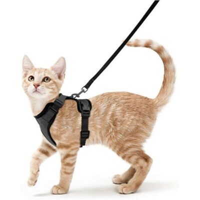 ABYSSE Réglable - Harnais Pour Chat Laisse Pour Petit Chien Harnais Pour Chaton Réglable Noir Xs - Publicité ABYSSE Réglable - Harnais Pour Chat Laisse Pour Petit Chien Harnais Pour Chaton Réglable Noir Xs - Publicité