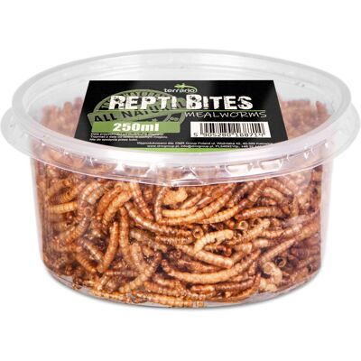 OEM Terrario Repti Bites Vers De Farine 250 Ml - Vers De Farine Séchés - Publicité OEM Terrario Repti Bites Vers De Farine 250 Ml - Vers De Farine Séchés - Publicité