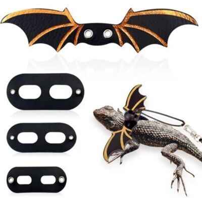 ENLENK Laisse Réglable Pour Lézard, Harnais Pour Dragon Barbu Ailé, Laisse Souple Pour Reptiles, Geckos Léopards, Amphibiens Et Autres Petits Animaux (noir) - Publicité ENLENK Laisse Réglable Pour Lézard, Harnais Pour Dragon Barbu Ailé, Laisse Souple Pour Reptiles, Geckos Léopards, Amphibiens Et Autres Petits Animaux (noir) - Publicité