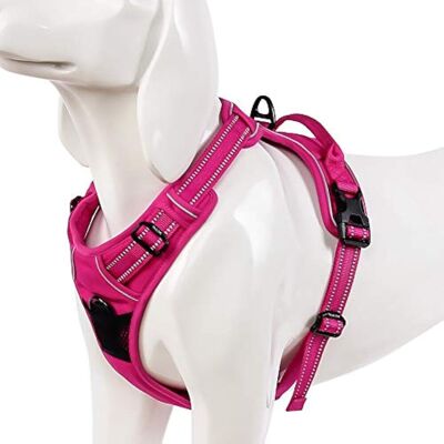GRASSLIN 1 Harnais Pour Chien Réglable Avec Poignée Et Matériau Réfléchissant Pour Voiture Et Promenade - Publicité GRASSLIN 1 Harnais Pour Chien Réglable Avec Poignée Et Matériau Réfléchissant Pour Voiture Et Promenade - Publicité