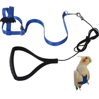 OEM Harnais Réglable Pour Perroquet Laisse Pour Animal Domestique Corde Anti-morsure Sangle Élastique Pour Oiseaux Perroquets Cacatoès Aras - Publicité OEM Harnais Réglable Pour Perroquet Laisse Pour Animal Domestique Corde Anti-morsure Sangle Élastique Pour Oiseaux Perroquets Cacatoès Aras - Publicité