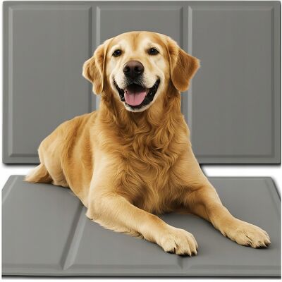 OEM Tapis Rafraîchissant Pour Chien Ou Chat, Grand Lit En Gel Imperméable Xxxl 90x50 Cm - Publicité OEM Tapis Rafraîchissant Pour Chien Ou Chat, Grand Lit En Gel Imperméable Xxxl 90x50 Cm - Publicité