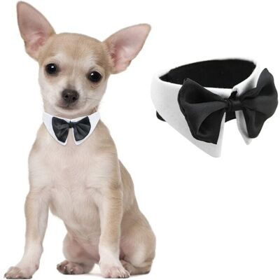 PELTOR Nœud Papillon Pour Chien, 1 Lot De Collier Blanc Réglable Avec Nœud Papillon Pour Petits Chiens, Chats, Mariage, Anniversaire - Publicité PELTOR Nœud Papillon Pour Chien, 1 Lot De Collier Blanc Réglable Avec Nœud Papillon Pour Petits Chiens, Chats, Mariage, Anniversaire - Publicité