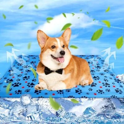 Scotch Tapis Rafraichissant Chien & Chat Coussin Rafraichissant Pour Chien, Tapis Refrigerant Pour Animaux, Étanche Et Facile À Nettoyer, Convient Aux Petits Et Grands Chien De Compagnie, 50×40cm - Publicité Scotch Tapis Rafraichissant Chien & Chat Coussin Rafraichissant Pour Chien, Tapis Refrigerant Pour Animaux, Étanche Et Facile À Nettoyer, Convient Aux Petits Et Grands Chien De Compagnie, 50×40cm - Publicité