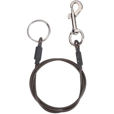 PELTOR Jeffergarden Laisse En Câble D'Acier Gainé Pour Chien - Boucle Unique Pour Bain, Toilettage Ou Fixation - Robuste - Publicité PELTOR Jeffergarden Laisse En Câble D'Acier Gainé Pour Chien - Boucle Unique Pour Bain, Toilettage Ou Fixation - Robuste - Publicité