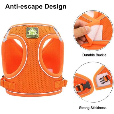 Melissa Aougo – Harnais Pour Chat Réglable Anti-évasion – Gilet Respirant Réfléchissant – Laisse Nylon 150 Cm – Ajustement Sécurisé Pour Chats Et Petits Chiens - Publicité Melissa Aougo – Harnais Pour Chat Réglable Anti-évasion – Gilet Respirant Réfléchissant – Laisse Nylon 150 Cm – Ajustement Sécurisé Pour Chats Et Petits Chiens - Publicité