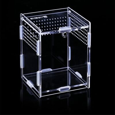 ALVIOR Boîte D Alimentation Insectes - Boîte Acrylique 8x7x10 Cm - Terrarium Reptiles Et Arachnides - Avec 195 Trous De Ventilation 1-1,2 Mm - Fermeture Magnétique - 1 Pièce - Publicité ALVIOR Boîte D Alimentation Insectes - Boîte Acrylique 8x7x10 Cm - Terrarium Reptiles Et Arachnides - Avec 195 Trous De Ventilation 1-1,2 Mm - Fermeture Magnétique - 1 Pièce - Publicité